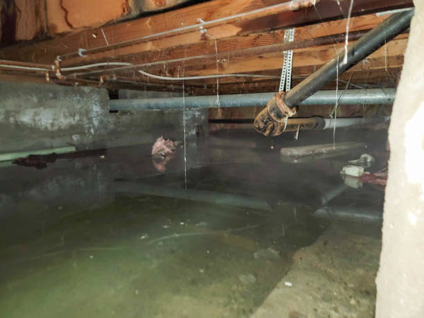 Trusted Edgecliff Village, TX Water damage restoration Experts