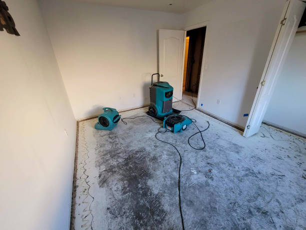 Best Mold removal after water damage  in Edgecliff Village, TX