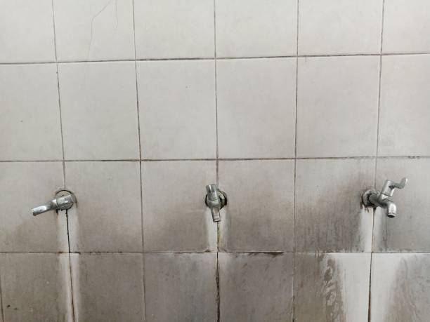 Best Water damage cleanup near me  in Edgecliff Village, TX