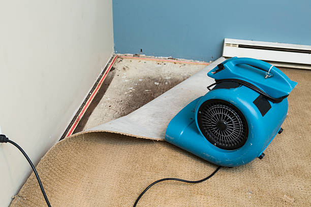 Best Water damage restoration near me  in Edgecliff Village, TX